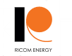 Systemy kominowe ricomenergy